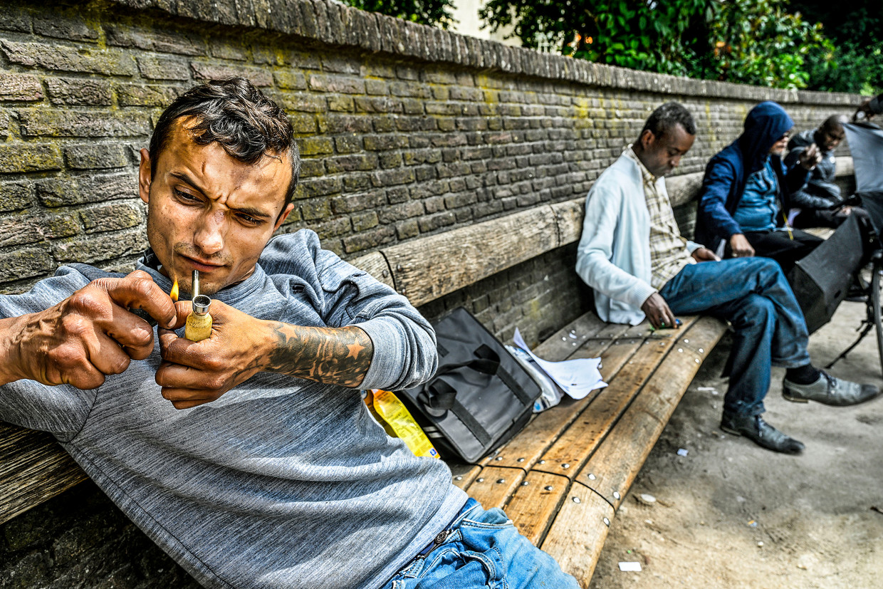 Hardloopschoenen utrecht best sale