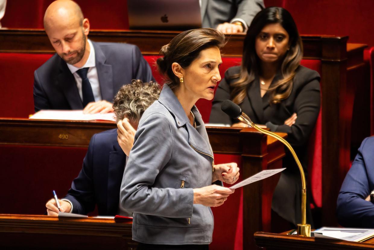 French Education Minister Amelie O'Dea Castera allegedly lied about why her children went to private school.  Getty Image