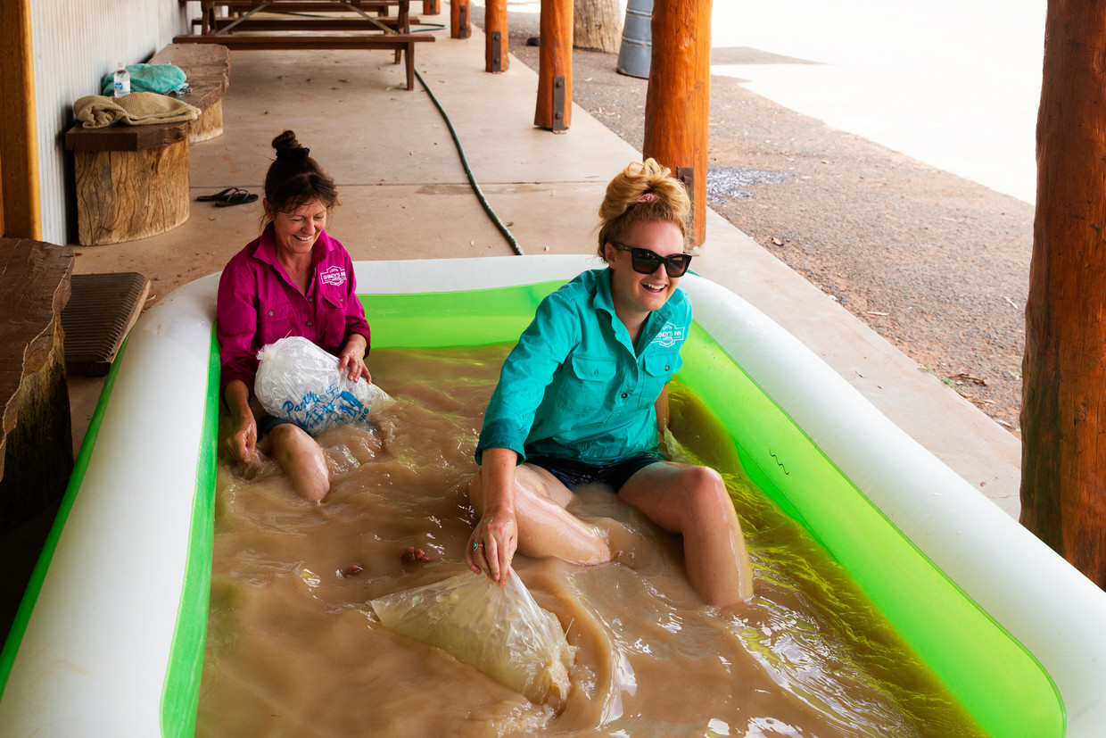 Louth, Australia.  Bathing in a pool of muddy tap water due to dehydration and lack of clean water.  Image by Getty Images