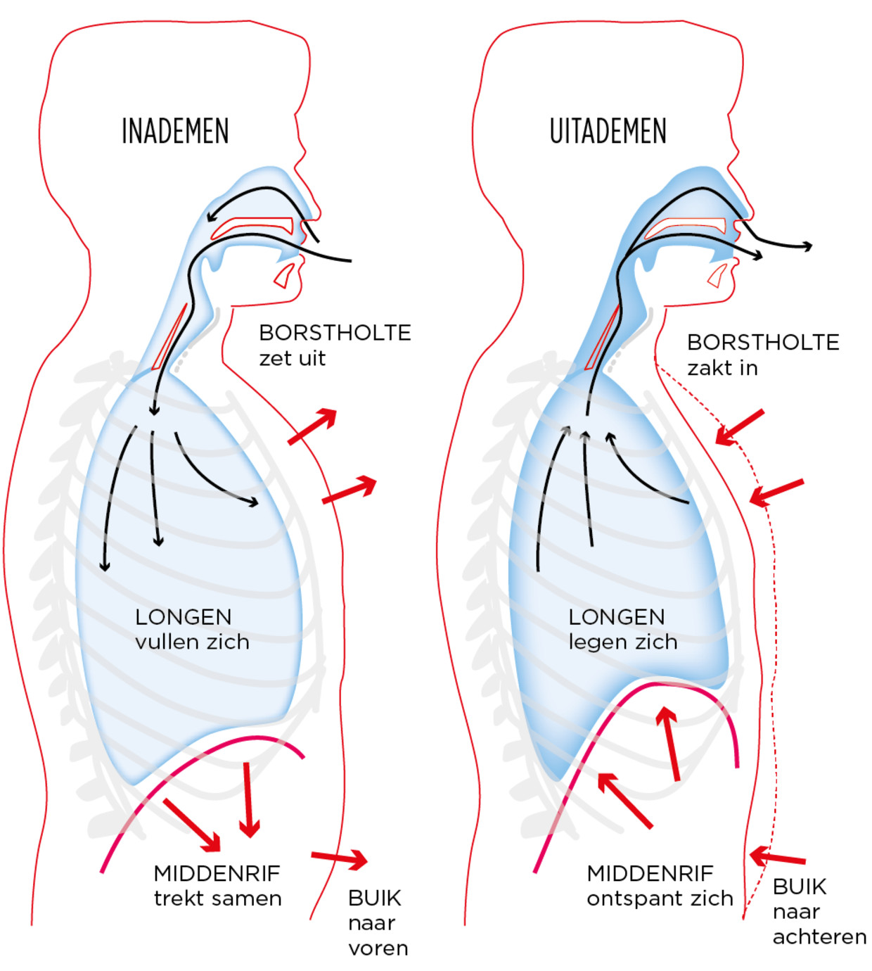 Als je ademhaling het leven moeilijker maakt (en hoe het beter kan)