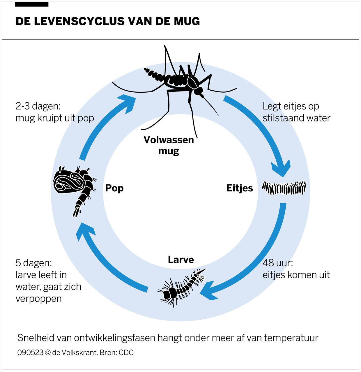 Daar zijn de muggen weer hoe kunnen het er ineens zoveel zijn en wat is de beste techniek om ze