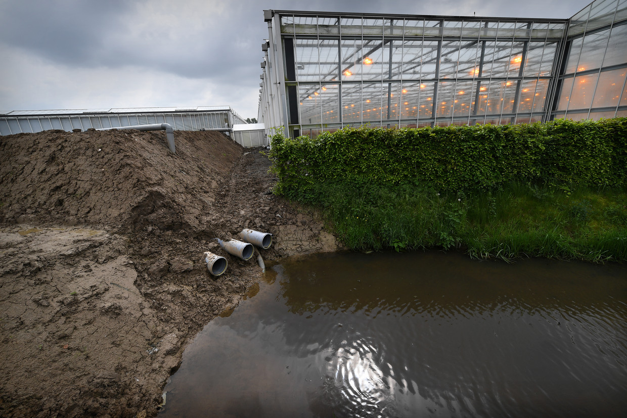 Lozing van afvalwater. Tuinbouw is een van de grote vervuilers van oppervlaktewater, door het gebruik van pesticiden. Beeld Marcel van den Bergh / de Volkskrant