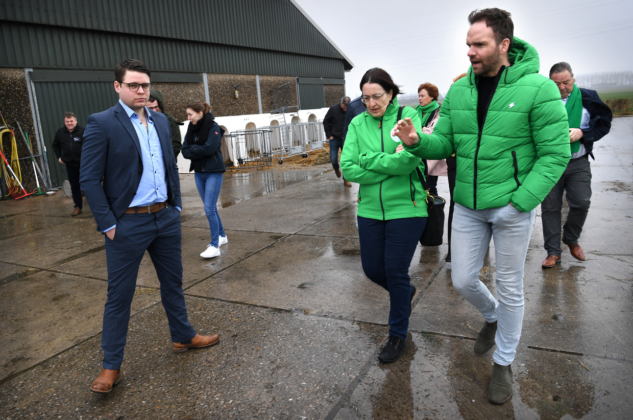 CDA-Kamerlid Derk Boswijk (rechts) bezoekt een melkveebedrijf in Oostburg (Zeeland). Beeld Marcel van den Bergh / de Volkskrant