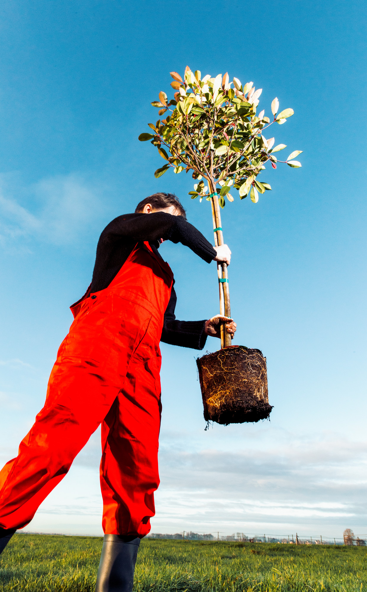 Burgers Planten Overal In Het Land Bomen Helpen Zulke Projecten Natuur 